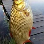 Zakatek W Zaciszu Ustka