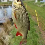 Zakatek W Zaciszu Сasa de vacaciones