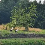 Zakatek W Zaciszu *