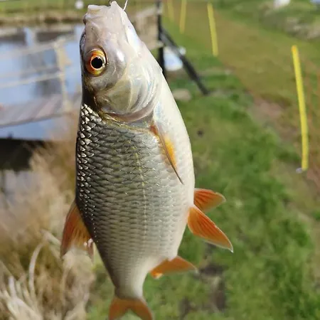 Zakatek W Zaciszu بيت للعطل أوستكا