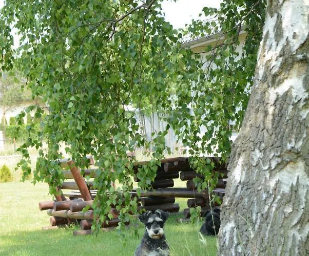 Nyaraló Zakatek W Zaciszu *