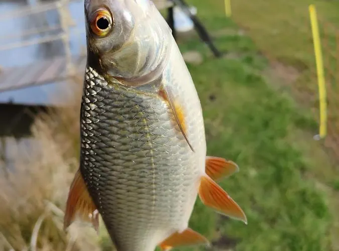 Zakatek W Zaciszu Vakantiehuis Ustka