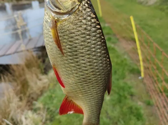 Zakatek W Zaciszu Holiday home